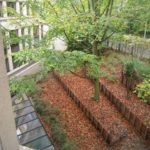 autre côté de l'école freinet jardin