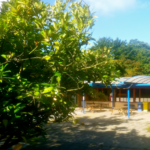 saint hubert cours de récréation détente primaire bruxelles école éducation