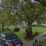 ecole karenberg boisfort environnement