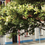 Institut des Filles de Marie - Secondaire | Saint-Gilles
