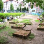 Ecole Adolphe Max primaire potager