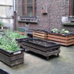 Ecole maternelle n°1 schaerbeek