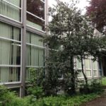 école primaire Saint-Curé d’Ars Forest arbre